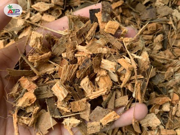 Vỏ dừa cắt – Giải pháp cải tạo đất bạc màu, chai cứng hiệu quả cho nhà vườn