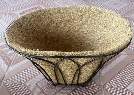 Chậu xơ dừa